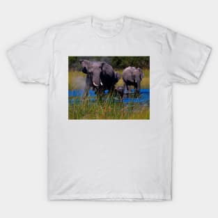 Splashing through the Water T-Shirt